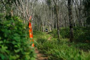 BIB: 
                            <button type="button" onclick="openModal(26293024)" class="btn btn-primary btn-sm float-right btn-popup" data-toggle="modal" data-target=".modal-high-quality">
                        <i class="fas fa-shopping-cart"></i> Add to Cart
                    </button>
                                            <button type="button" onclick="isThisMe(26293024, true)" class="btn btn-success btn-sm float-right btn-popup btn-isme hidden" data-toggle="tooltip" data-placement="bottom" title="นี่คือรูปของคุณใช่ไหม คลิกที่นี่เพื่อเอาเข้าอัลบั้ม">
                        <i class="fas fa-plus"></i> Add to album
                    </button>
                    <button type="button" onclick="isThisMe(26293024, false)" class="btn btn-warning btn-sm float-right btn-popup btn-isnotme hidden">
                        <i class="fas fa-ban"></i> Remove from album
                    </button>